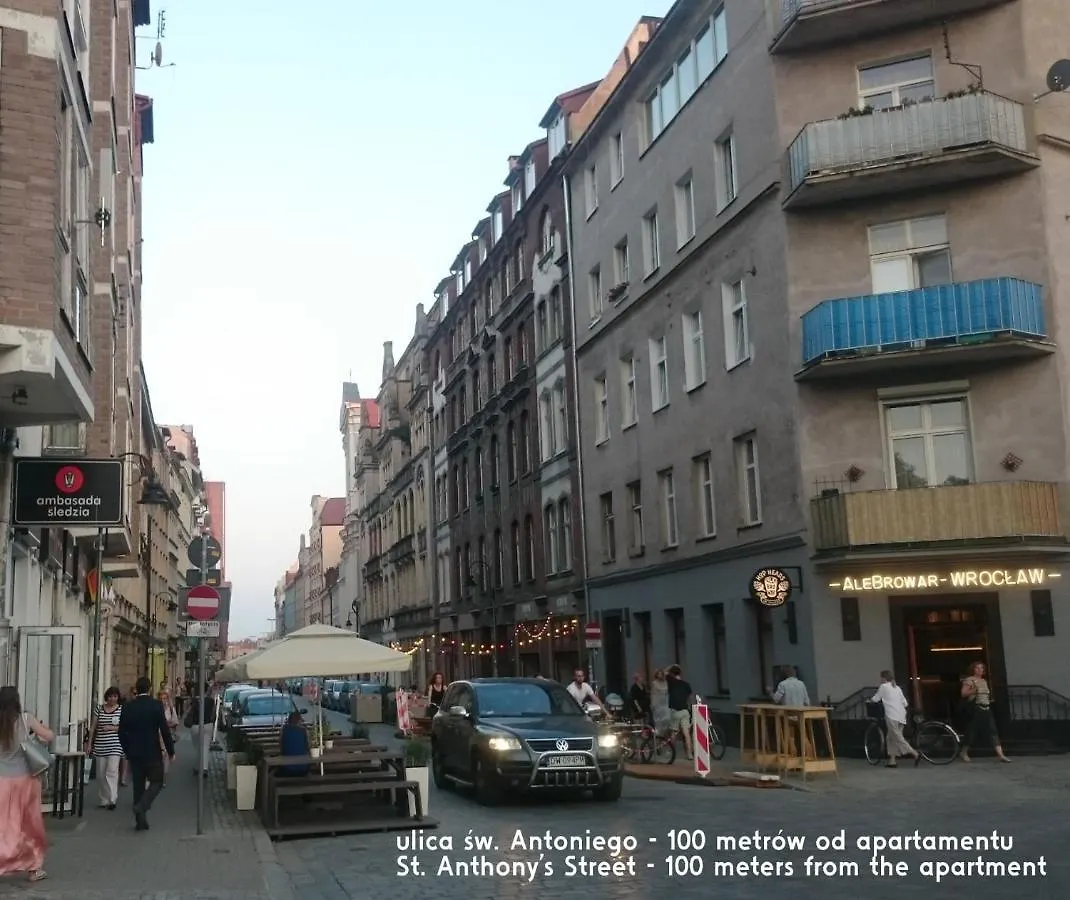 Wlodkowica Vandrehjem Wrocław